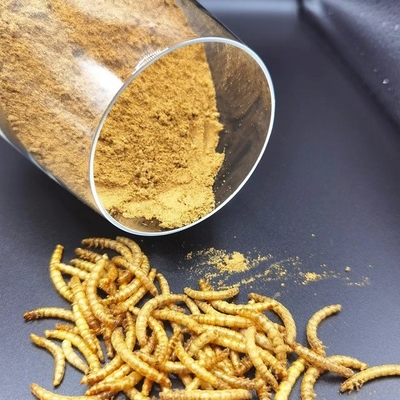 Defatted Mealworm Protein Supplement Pet Aquatic Poultry Livestock Feed
