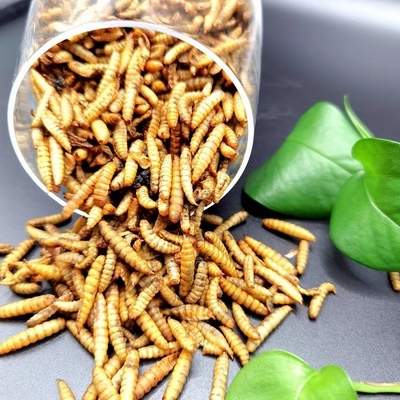 High Protein Dried Black Soldier Fly Larvae Grubs Microwave For Pets Food