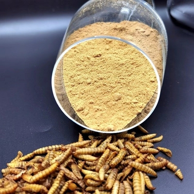 Chicken Feed BSF Maggot Protein / Black Soldier Fly Fish Food FDA Approved