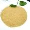 Pure Insect Protein Powder / Black Soldier Fly Protein Powder For Feeding